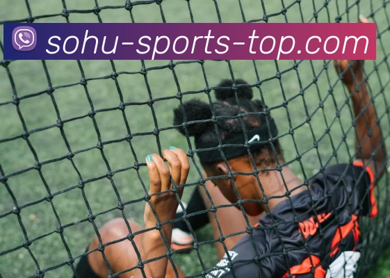 搜狐体育平台生态图